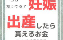 岡山市で妊娠・出産したときの一時金をまとめました