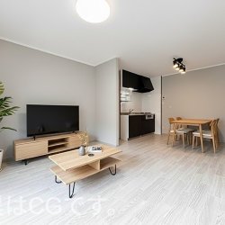 17069月近況｜南区大福販売・50戸連たん制度の続報・賃貸リフォームなど