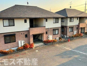 1798【お知らせ】3月3日（火）臨時休業のご案内